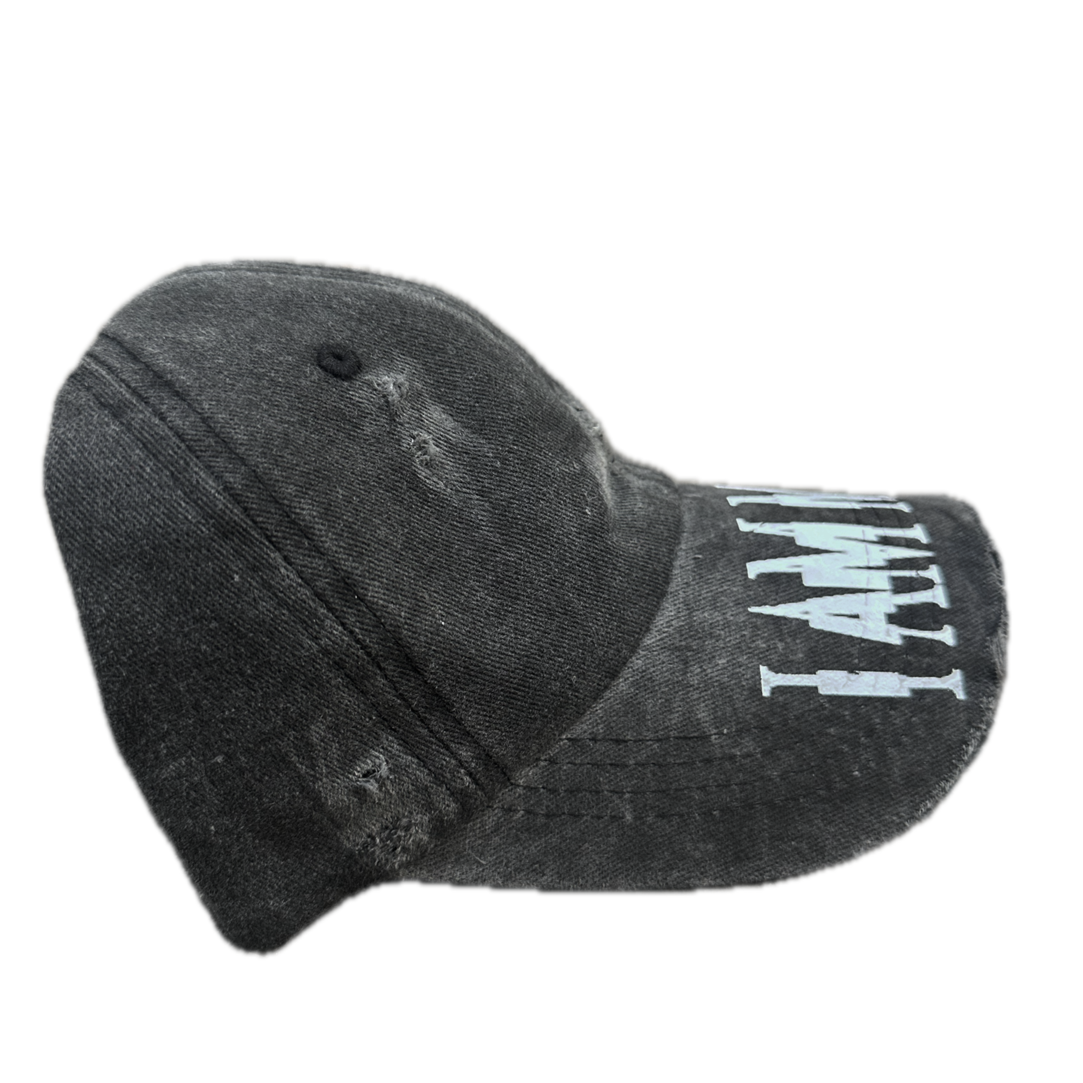 I AM MUSIC HAT
